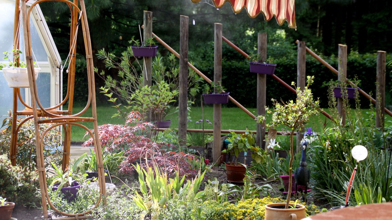 Photo of Outdoor in Ban-de-Laveline