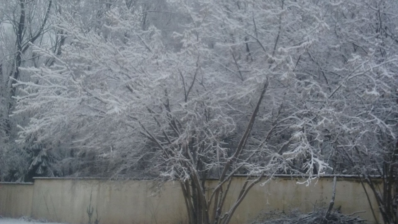 Photo of Others in Ban-de-Laveline