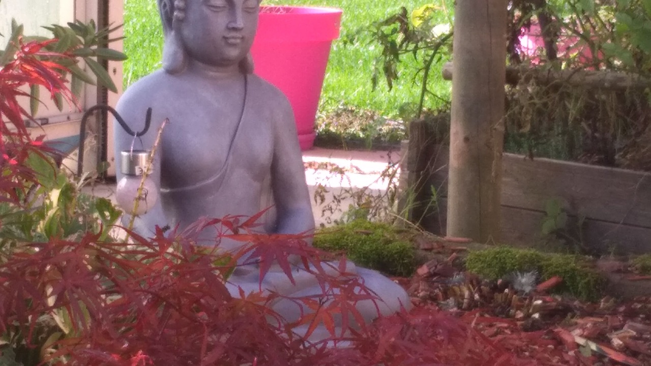 Photo of Outdoor in Ban-de-Laveline