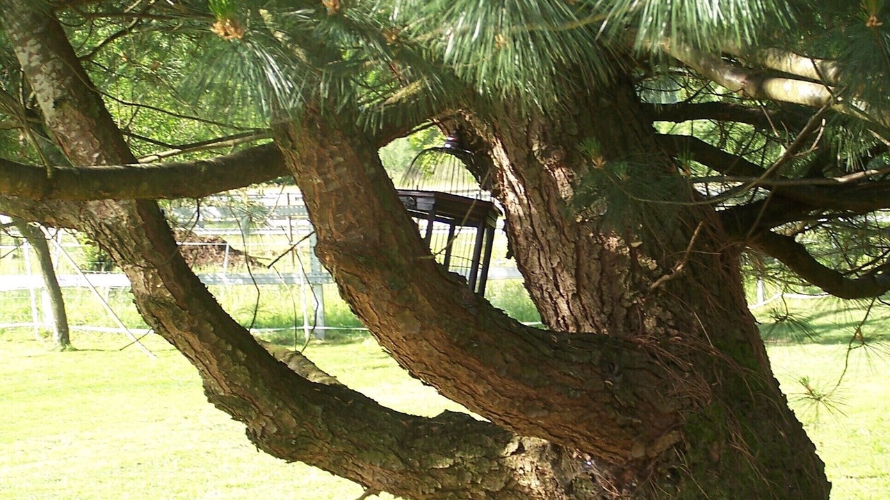 Photo of Outdoor in Ban-de-Laveline