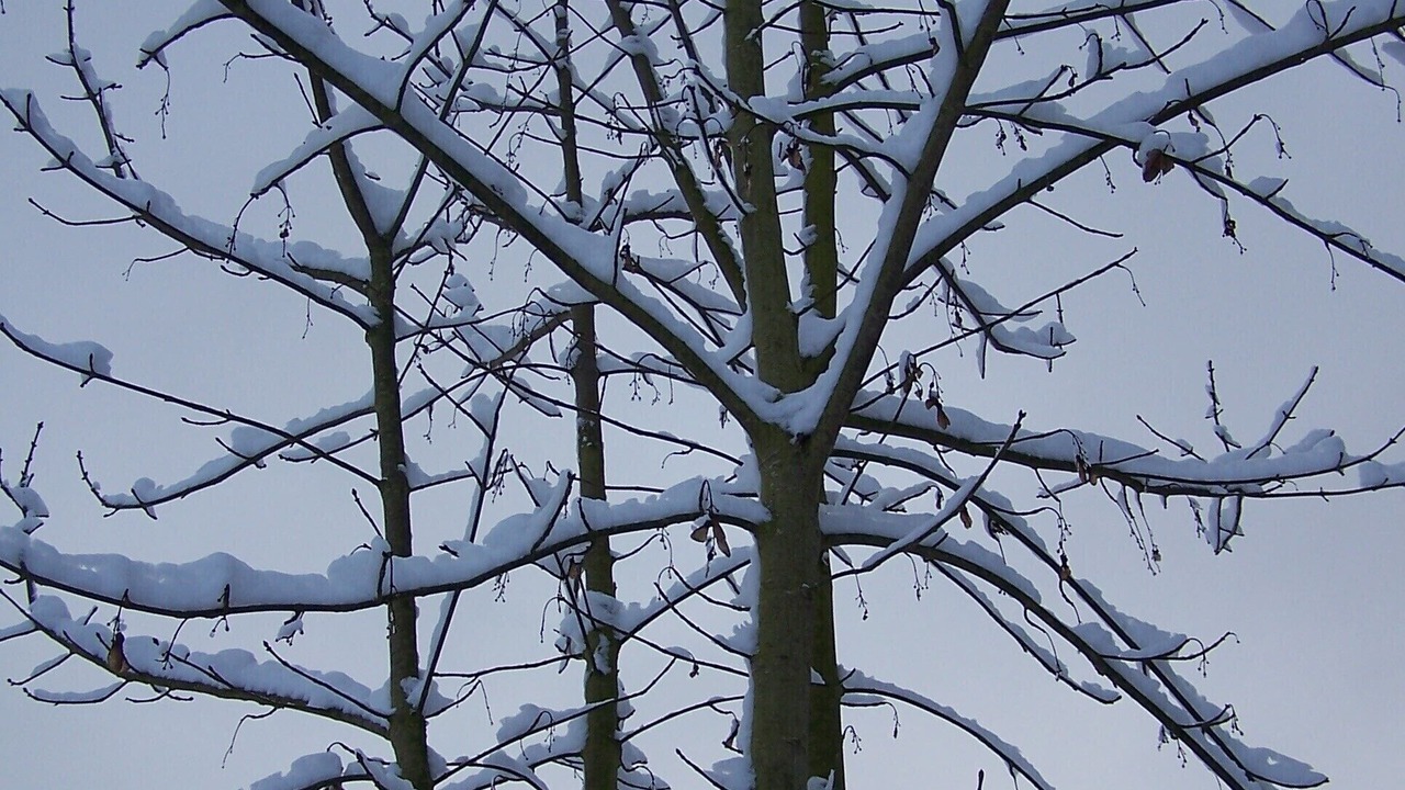 Photo of Others in Ban-de-Laveline