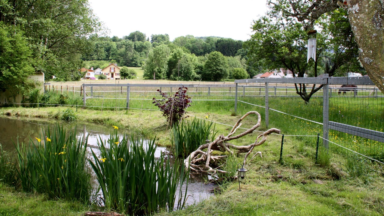 Photo of Outdoor in Ban-de-Laveline