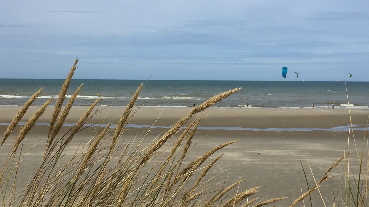 Photo of Others in Hardelot-Plage