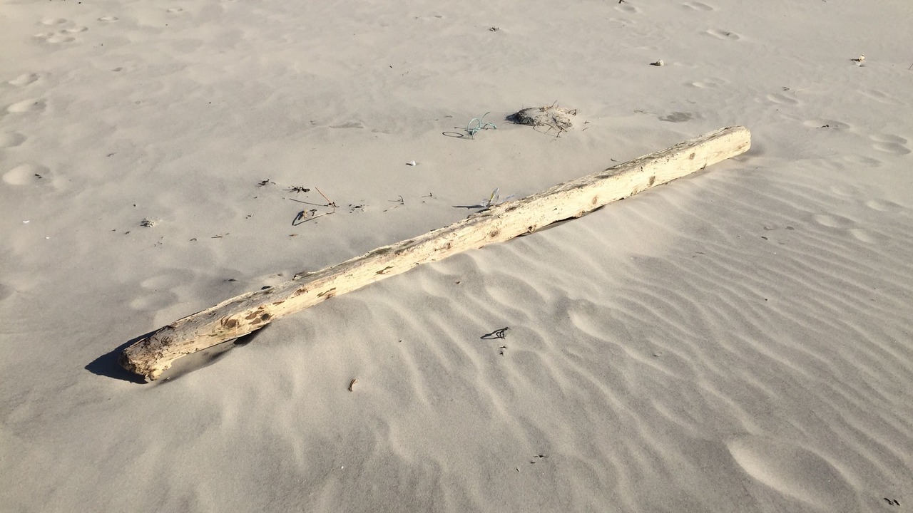 Photo of Others in Hardelot-Plage