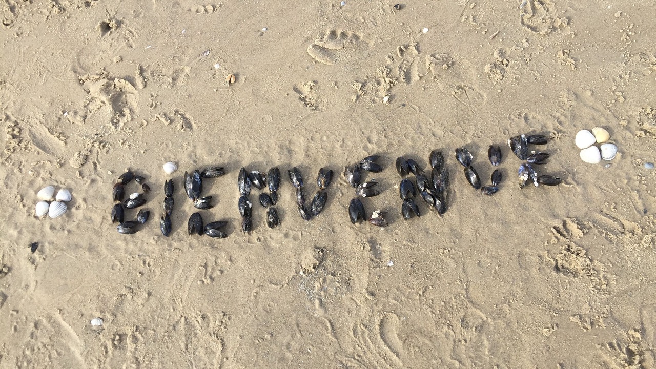 Photo of Others in Hardelot-Plage