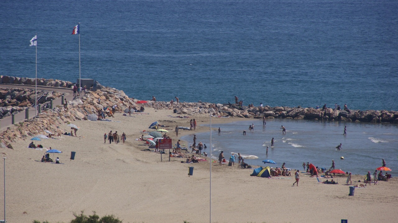 Photo of Others in Le Port
