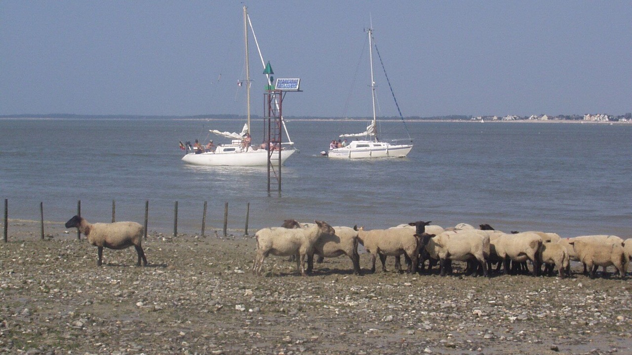 Photo of Others in Saint-Valery-sur-Somme