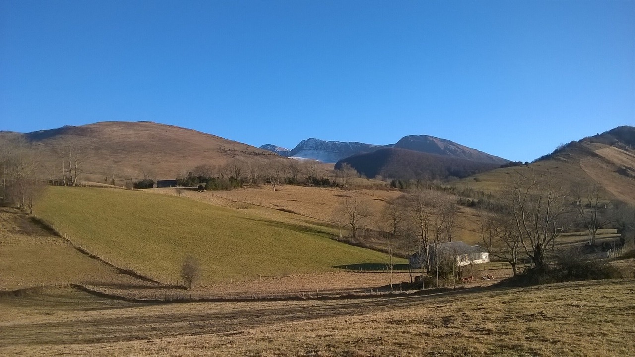 Photo of Others in Laruns