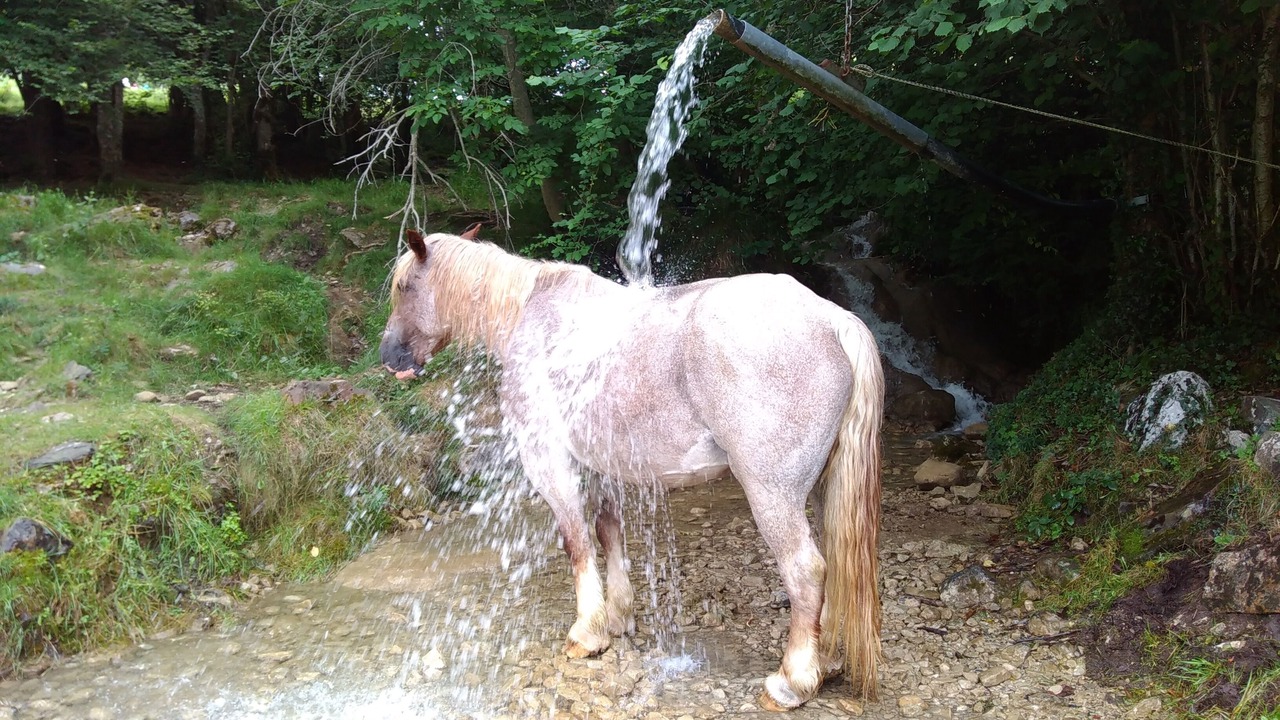 Photo of Outdoor in Laruns