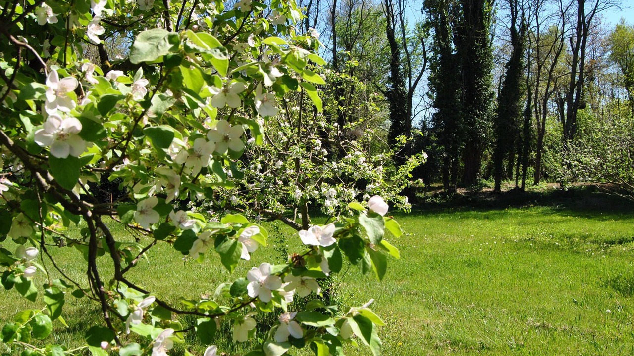 Photo of Outdoor in Saint-Gervais-sur-Roubion