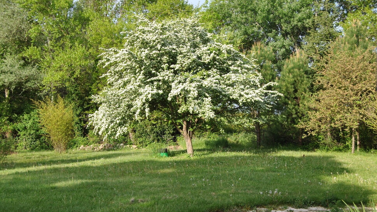 Photo of Outdoor in Saint-Gervais-sur-Roubion