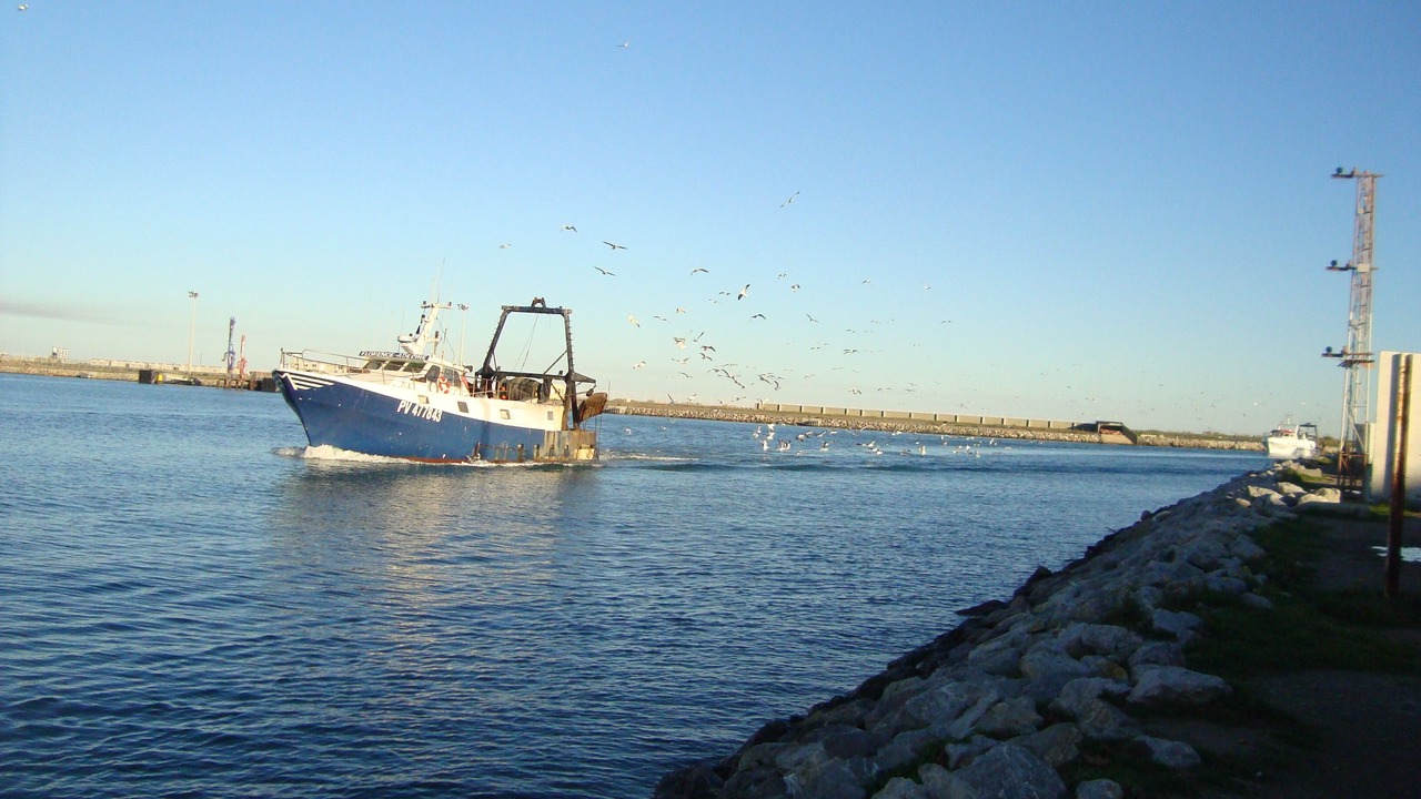 Photo of Others in Port-la-Nouvelle