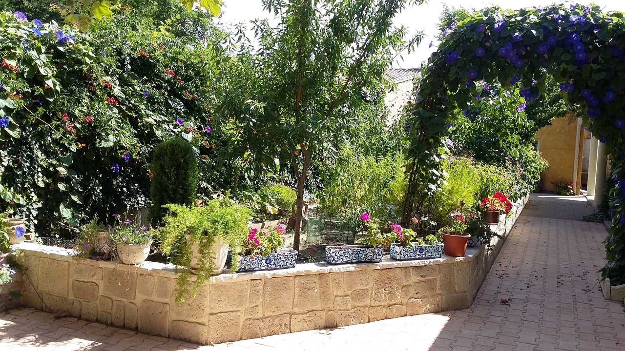 Photo of Outdoor in Port-la-Nouvelle