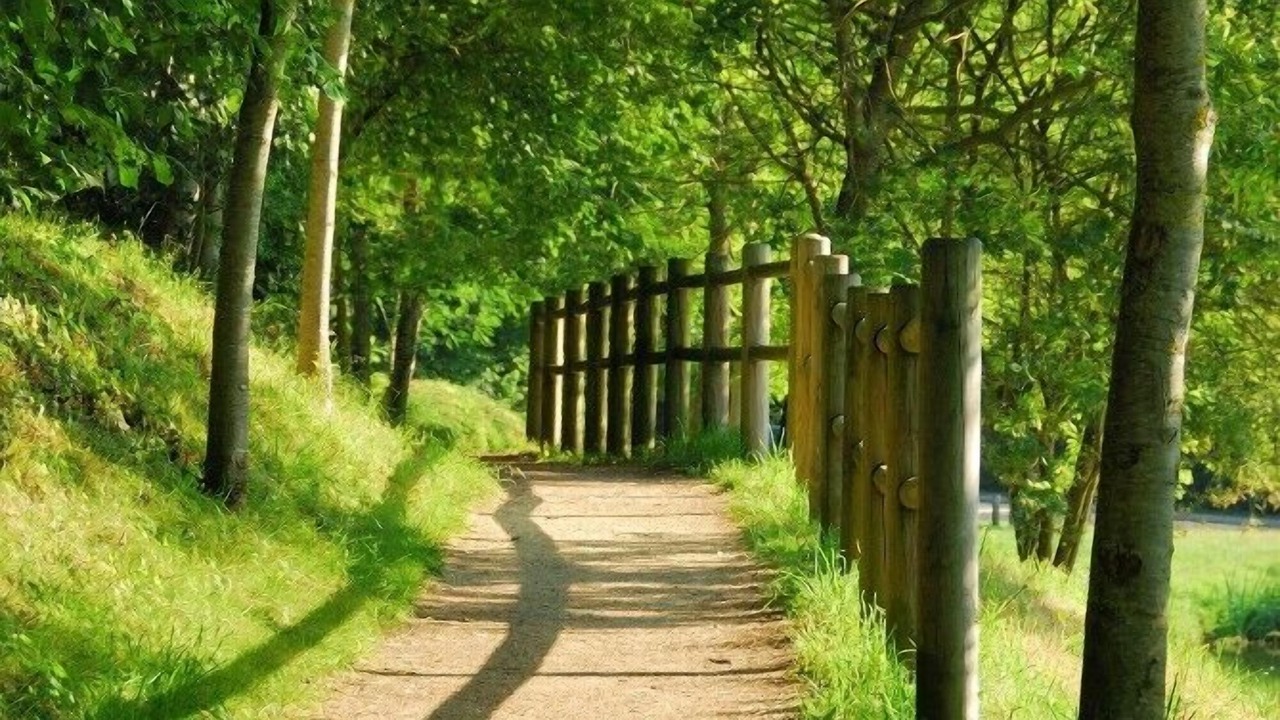 Photo of Outdoor in Les Lucs-sur-Boulogne