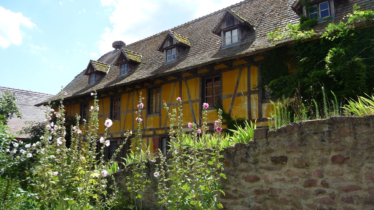 Photo of Outdoor in Maisonsgoutte