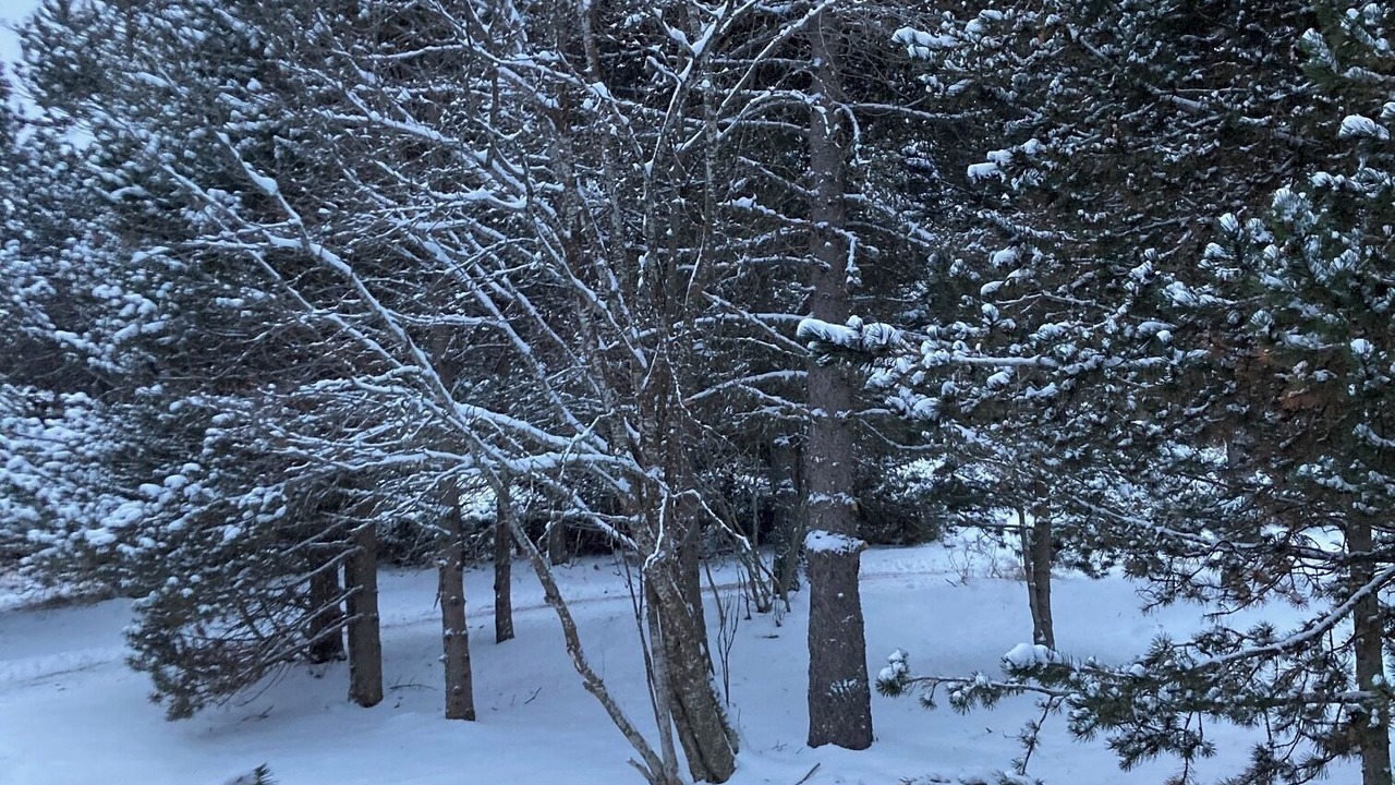 Photo of Outdoor in Pyrenees 2000