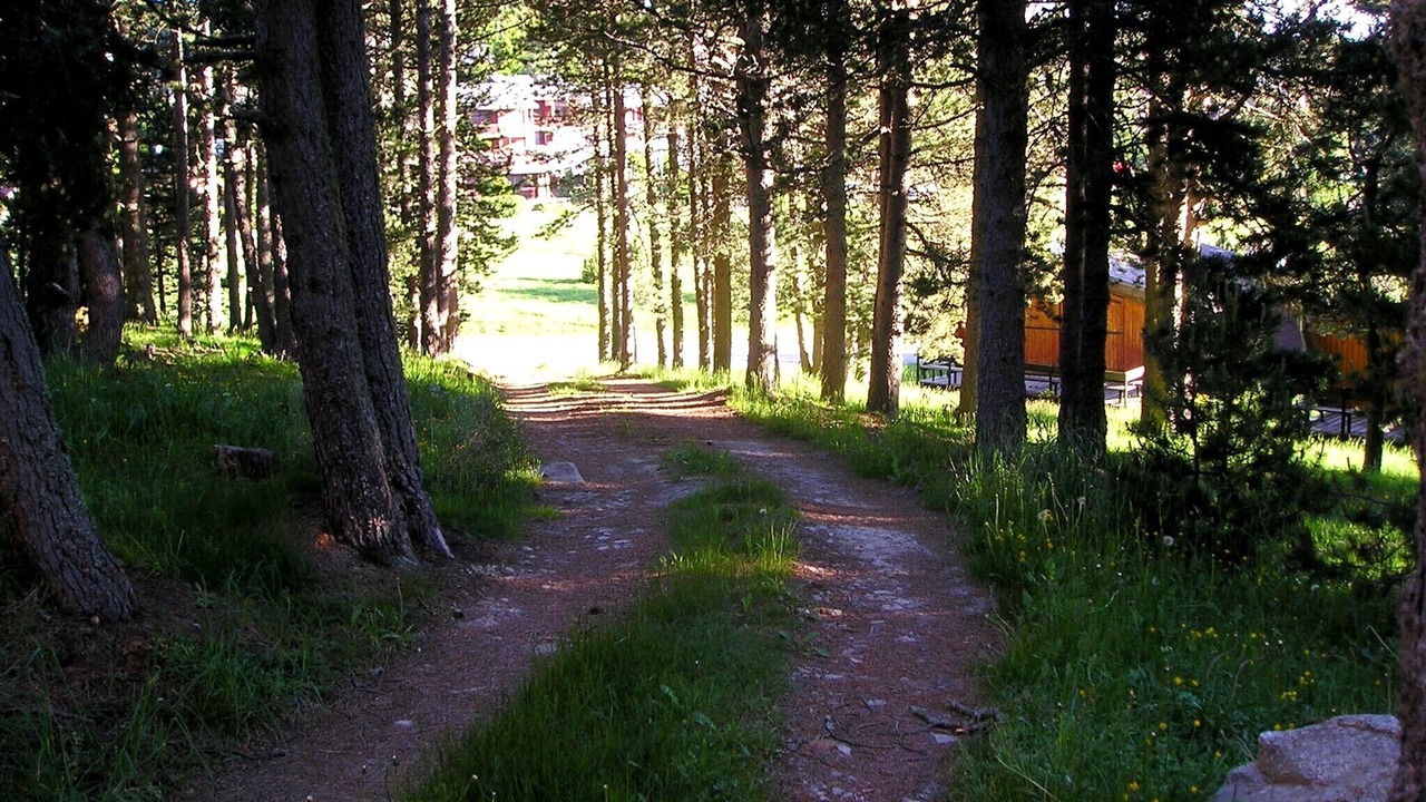 Photo of Outdoor in Pyrenees 2000
