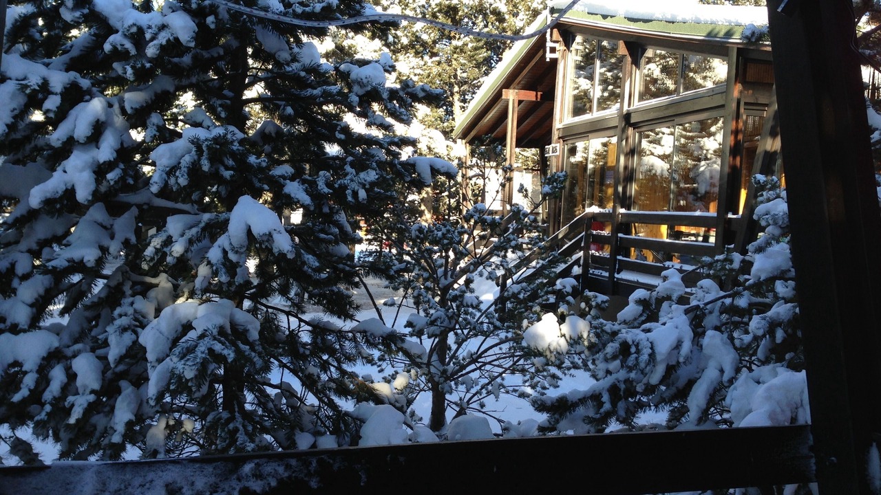 Photo of Outdoor in Pyrenees 2000