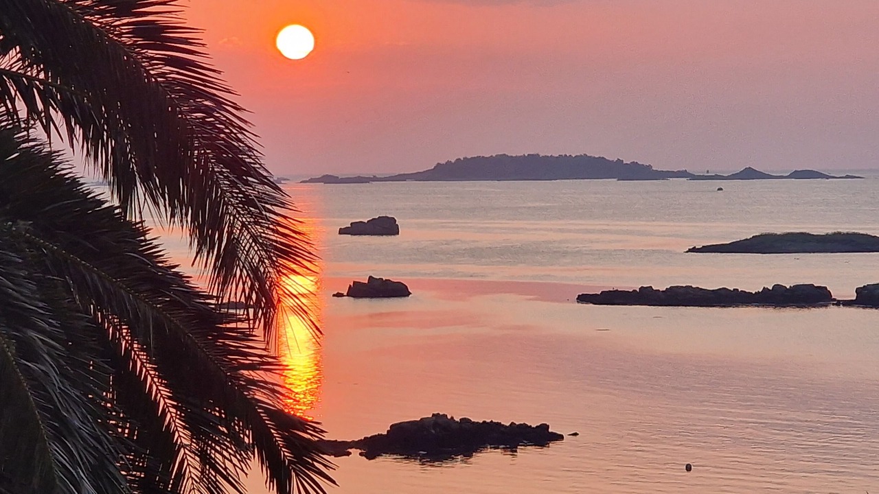 Photo of Others in Lanmodez