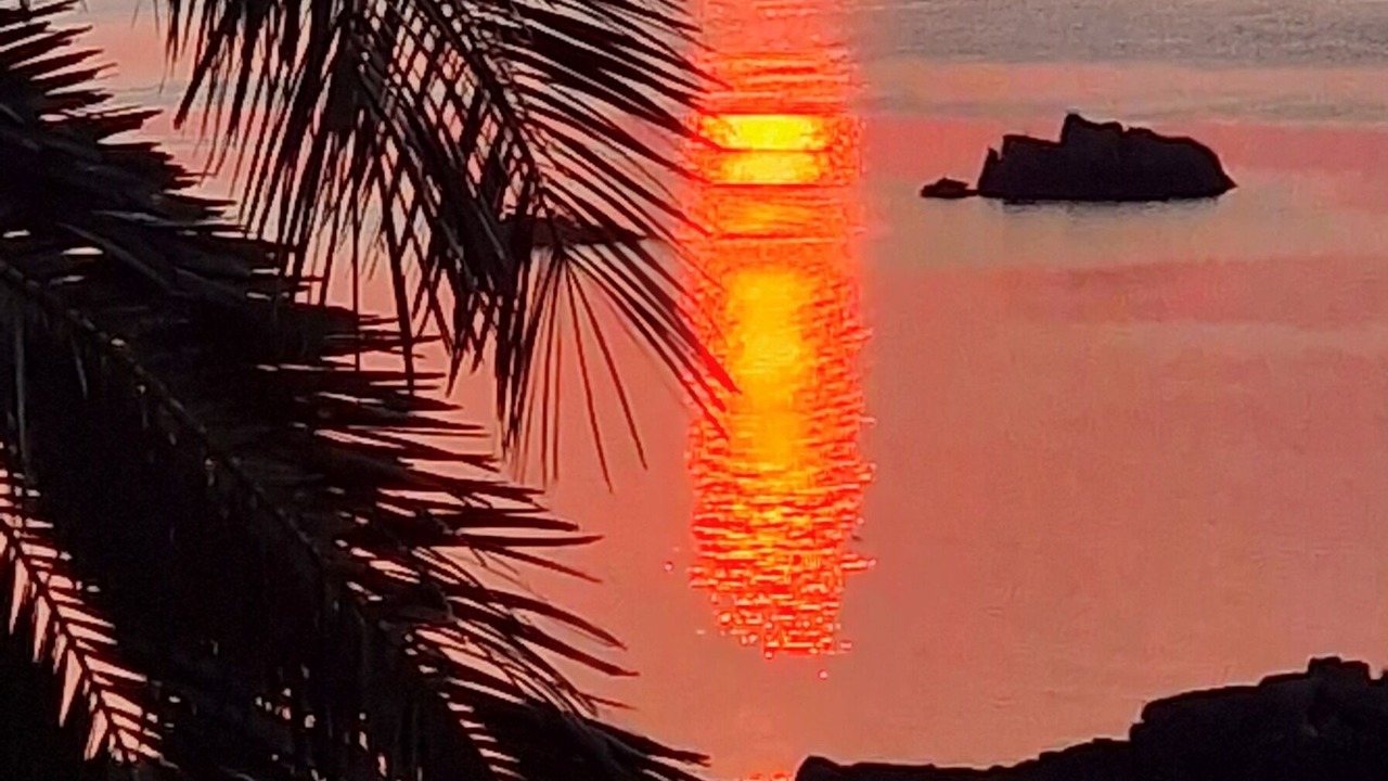 Photo of Others in Lanmodez