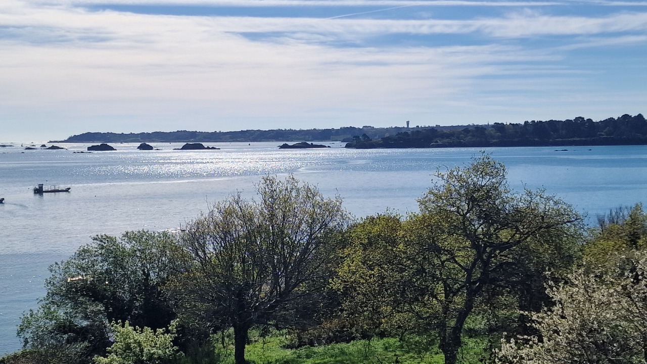 Photo of Others in Lanmodez