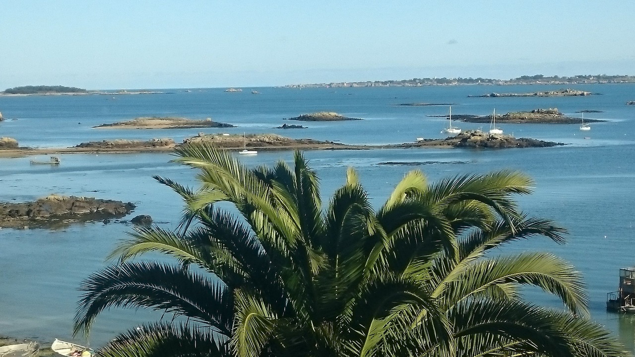 Photo of Others in Lanmodez