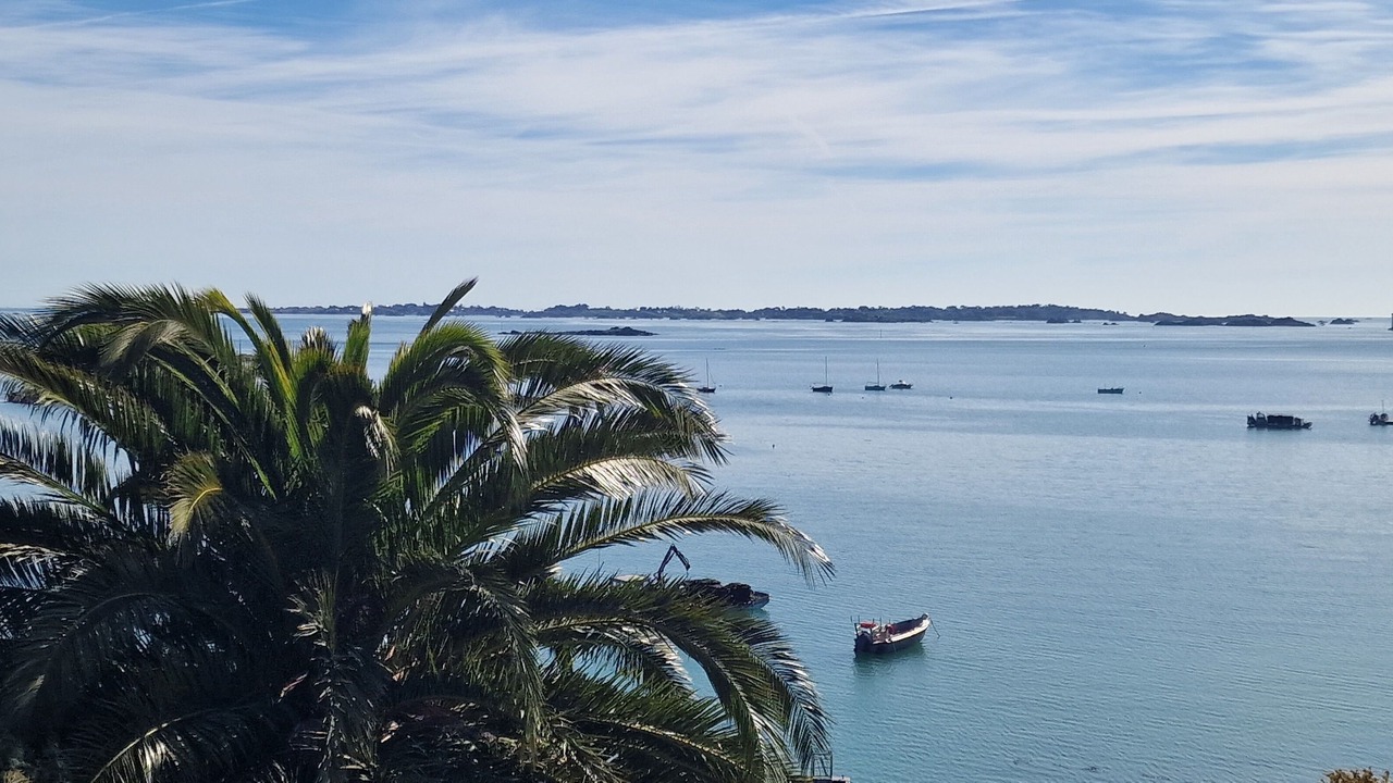 Photo of Others in Lanmodez