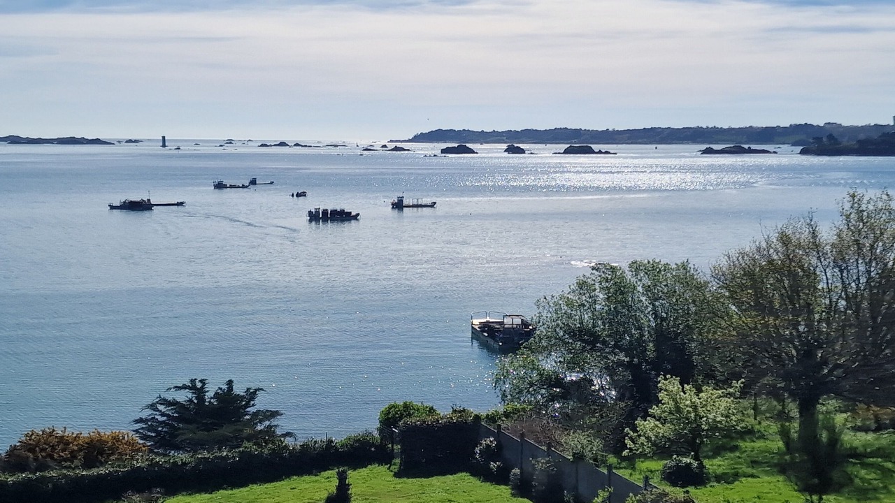 Photo of Others in Lanmodez