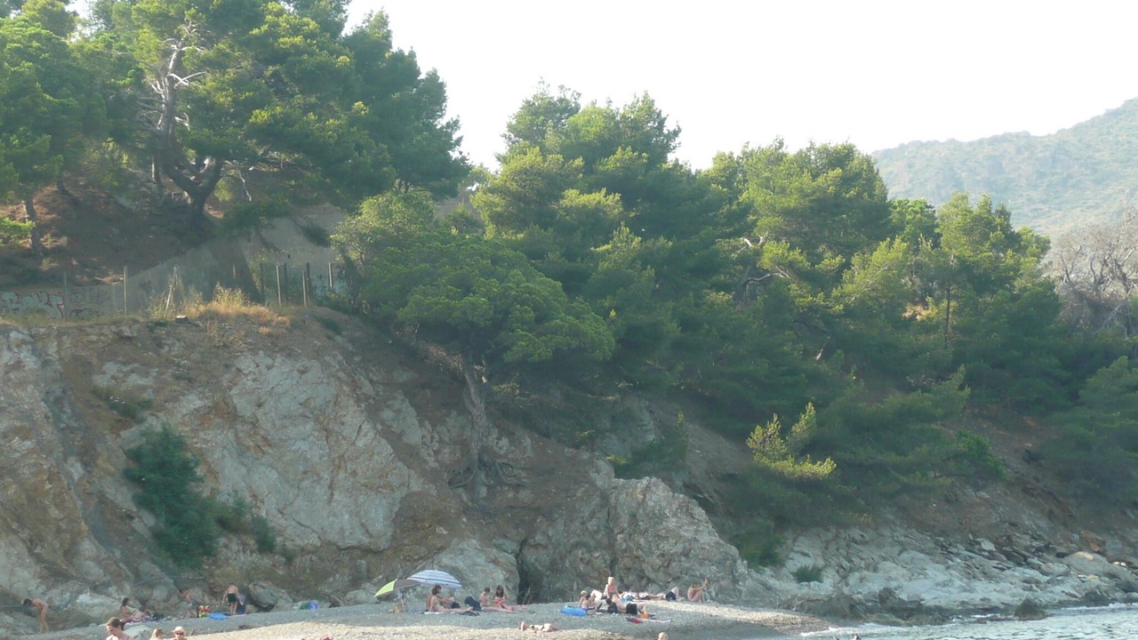 Photo of Others in Saint-Genis