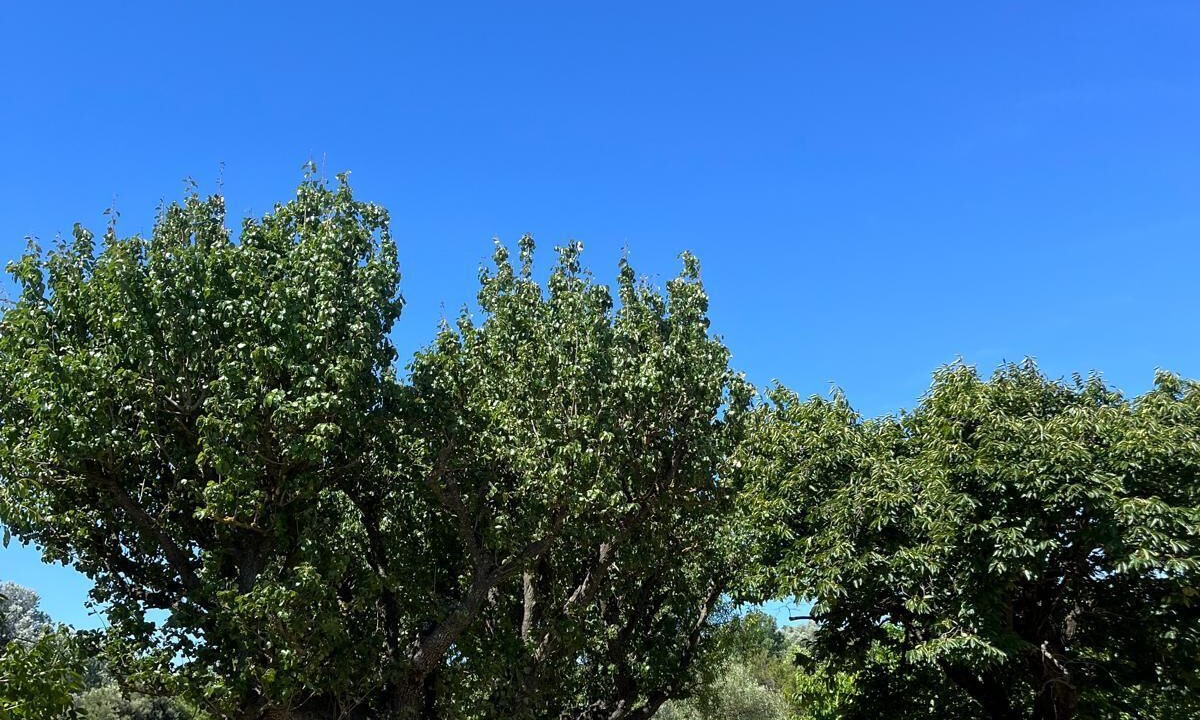 Photo of Others in Saint-Quentin-la-Poterie