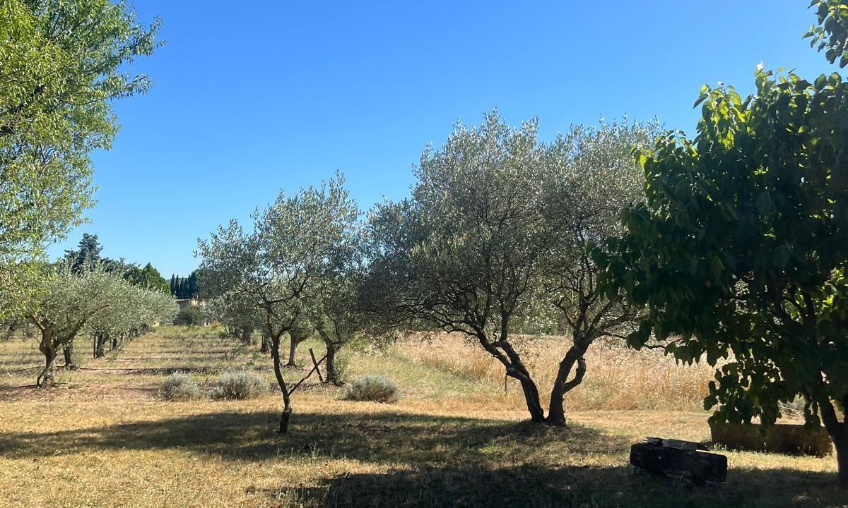 Photo of Outdoor in Saint-Quentin-la-Poterie