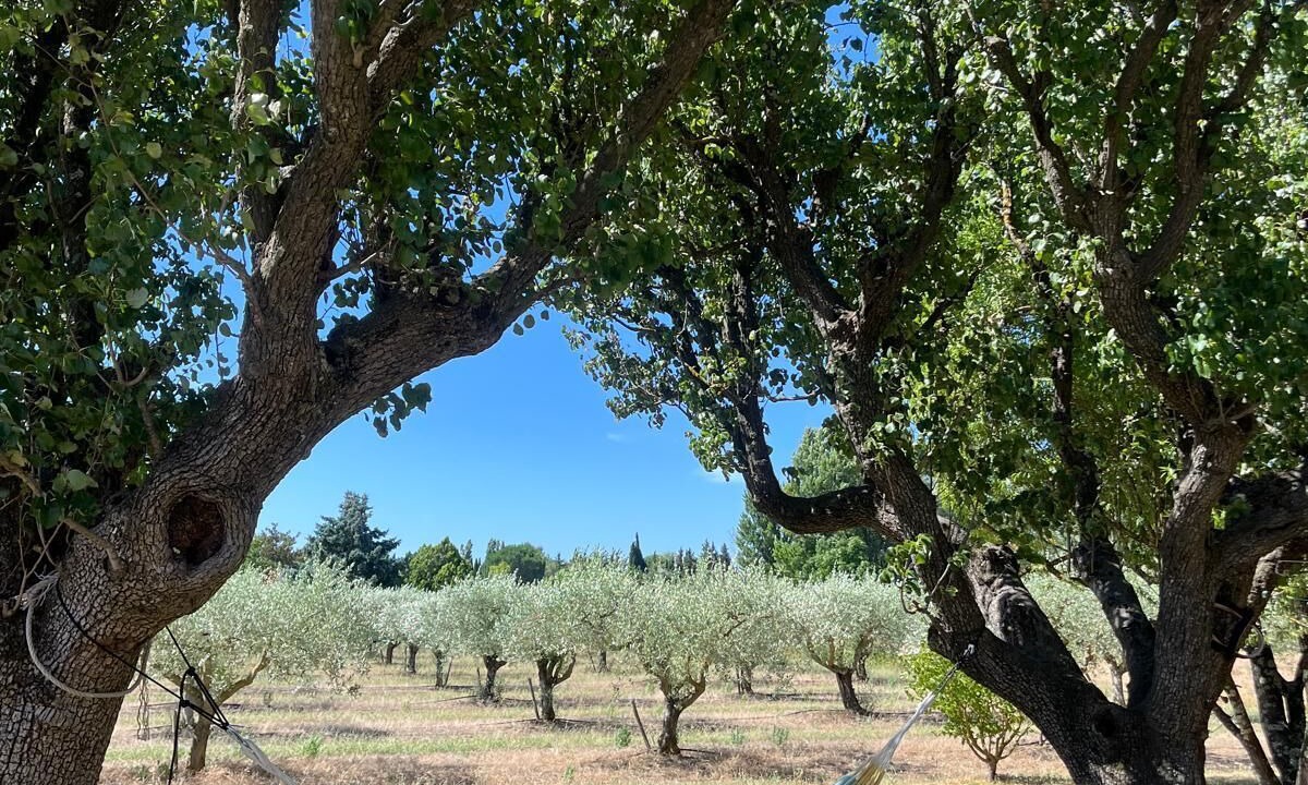 Photo of Others in Saint-Quentin-la-Poterie