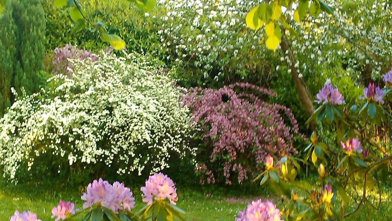 Photo of Outdoor in Angiens