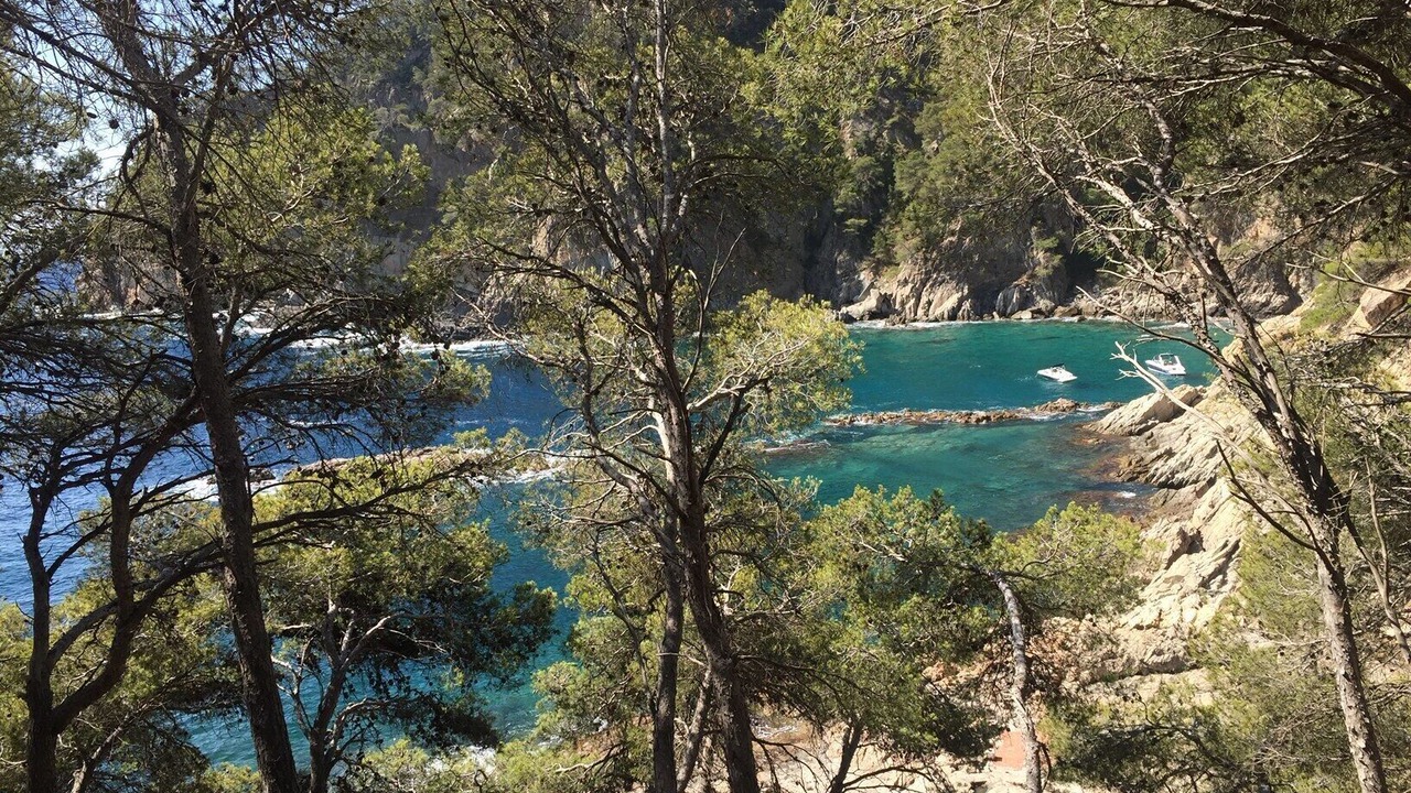 Photo of Outdoor in Tamariu