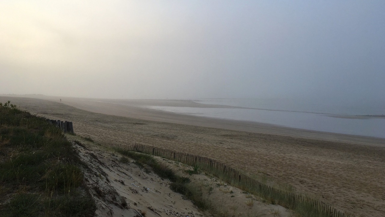 Photo of Others in La Tranche-sur-Mer