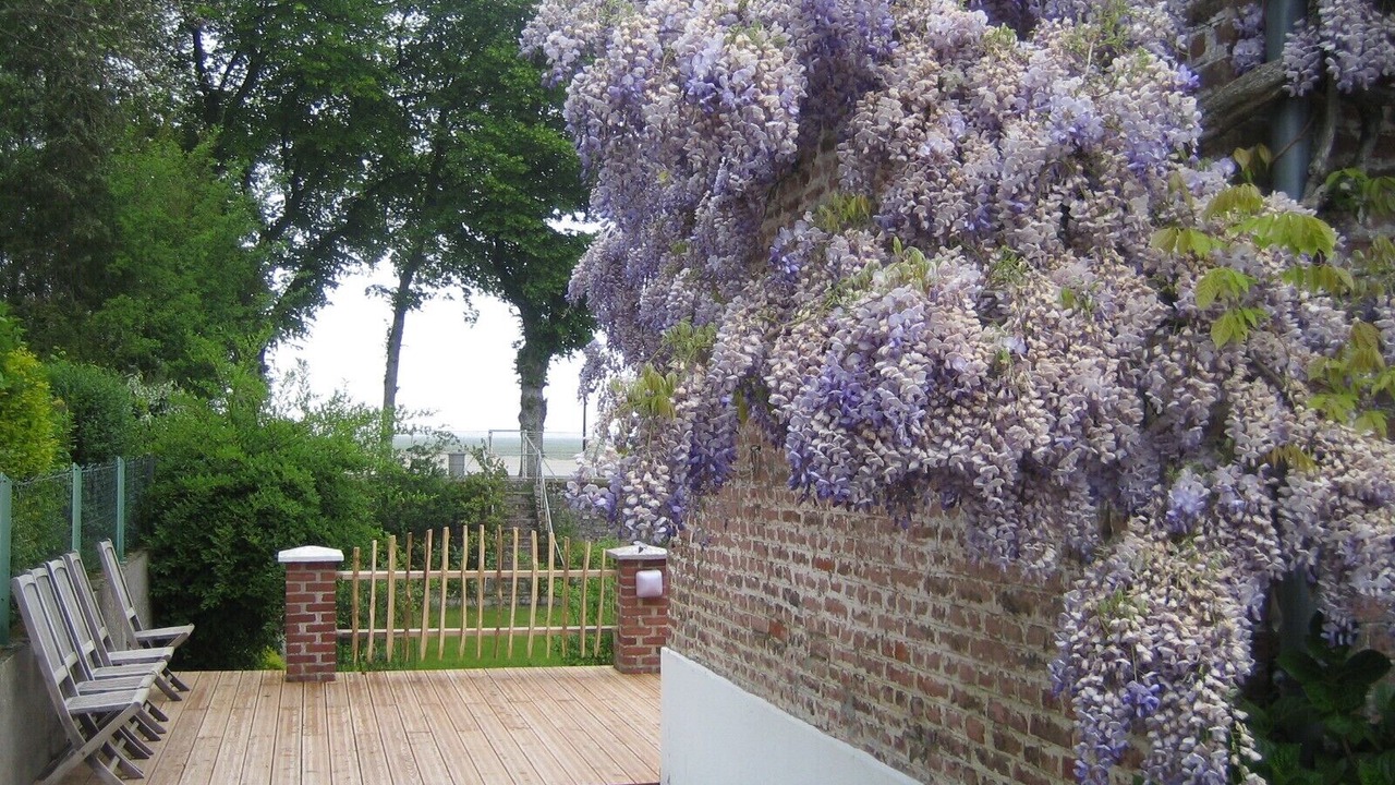 Photo of Patio Balcony in Saint-Valery-sur-Somme