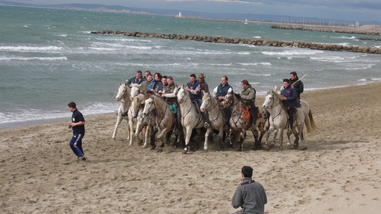 Photo of Others in Le Grau-Du-Roi