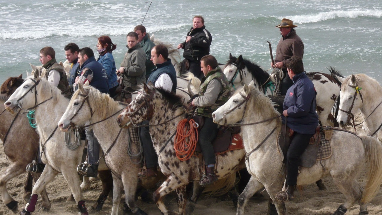 Photo of Others in Le Grau-Du-Roi