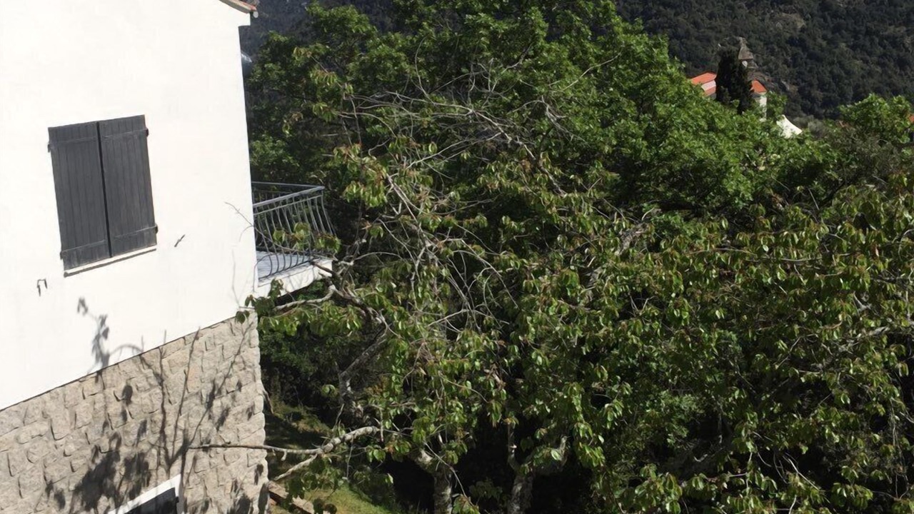 Photo of Outdoor in Letia