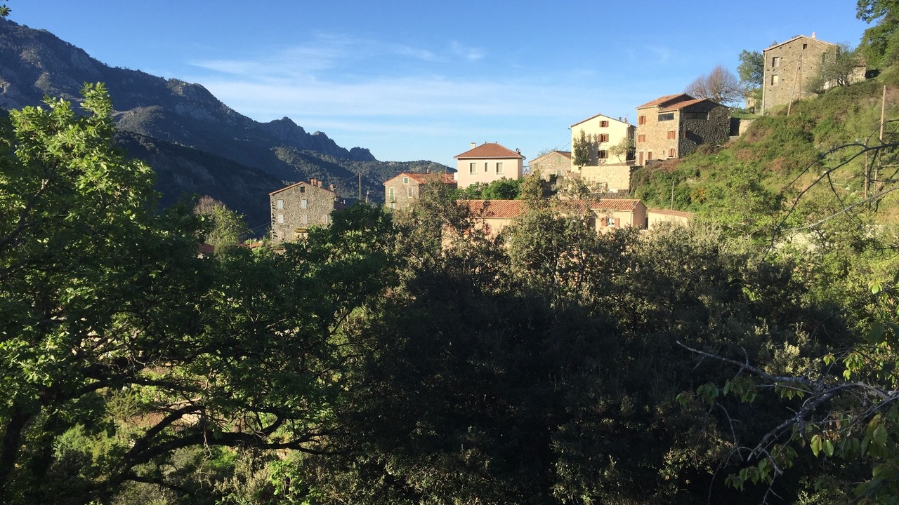 Photo of Outdoor in Letia