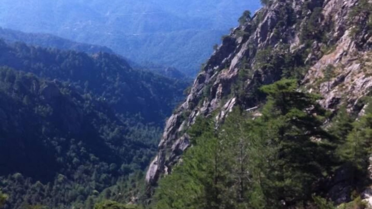 Photo of Outdoor in Letia