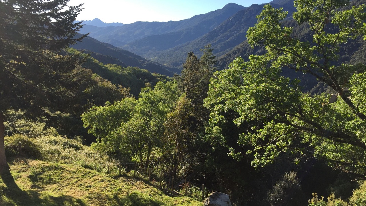 Photo of Outdoor in Letia