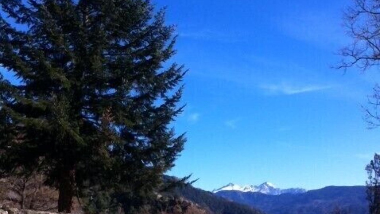 Photo of Outdoor in Letia