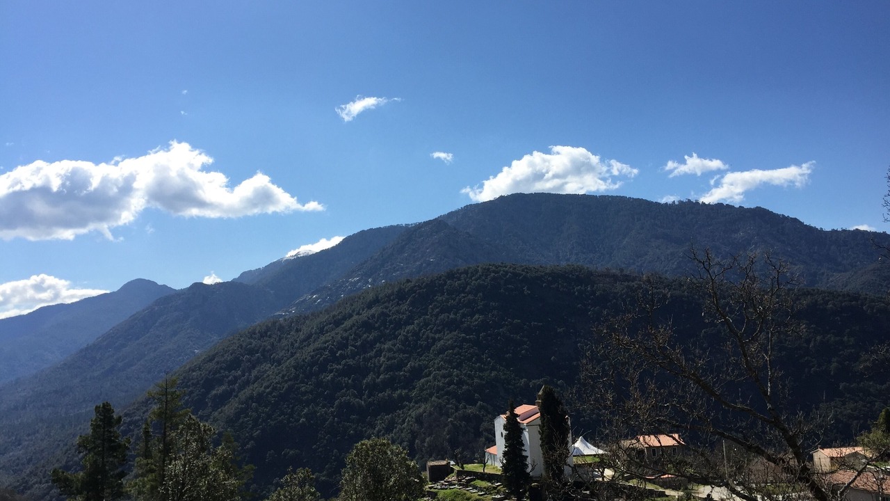 Photo of Outdoor in Letia