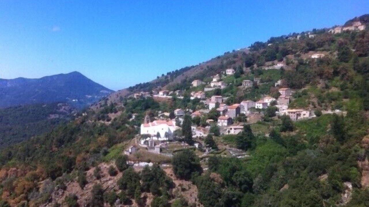 Photo of Outdoor in Letia