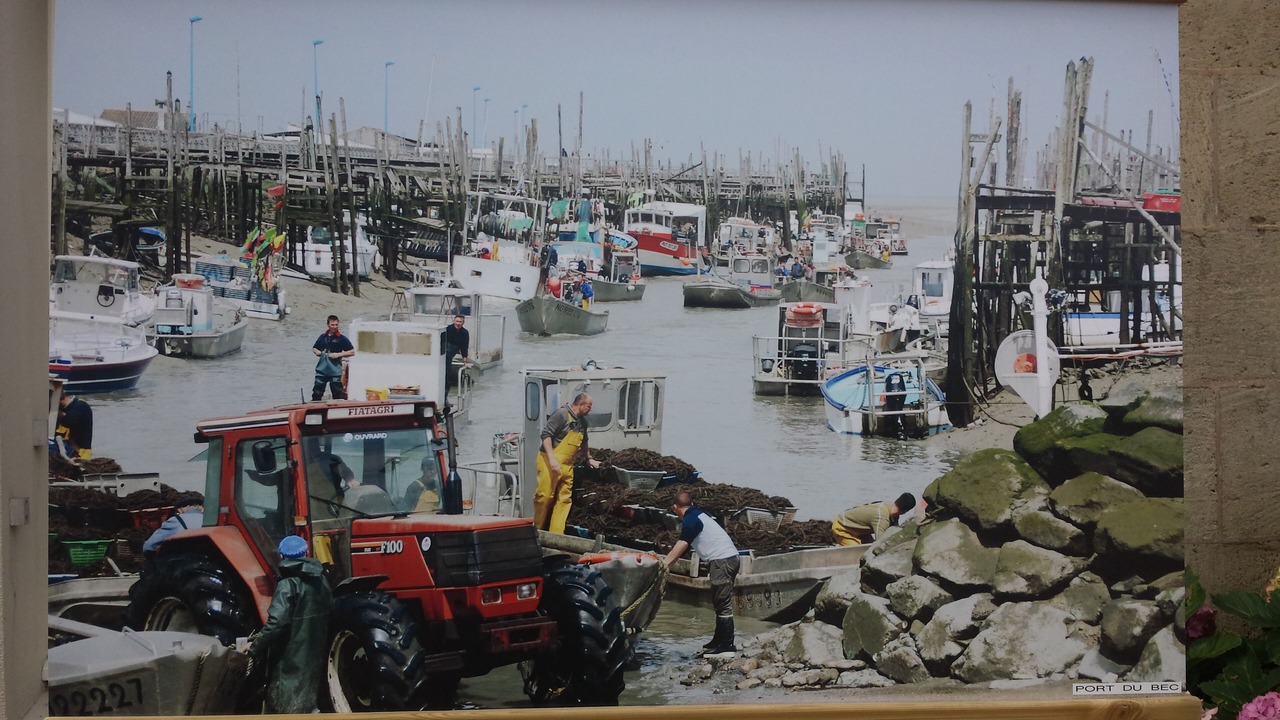 Photo of Others in Bouin