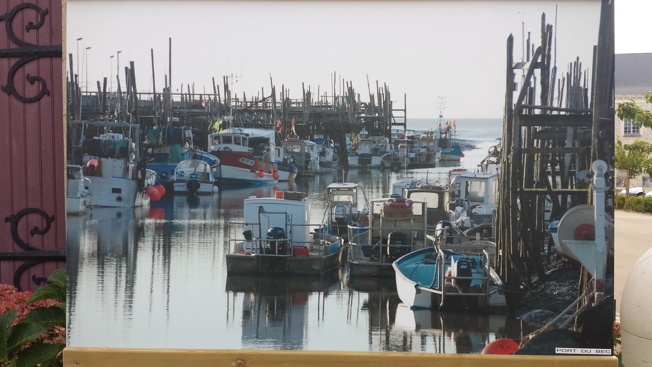 Photo of Others in Bouin