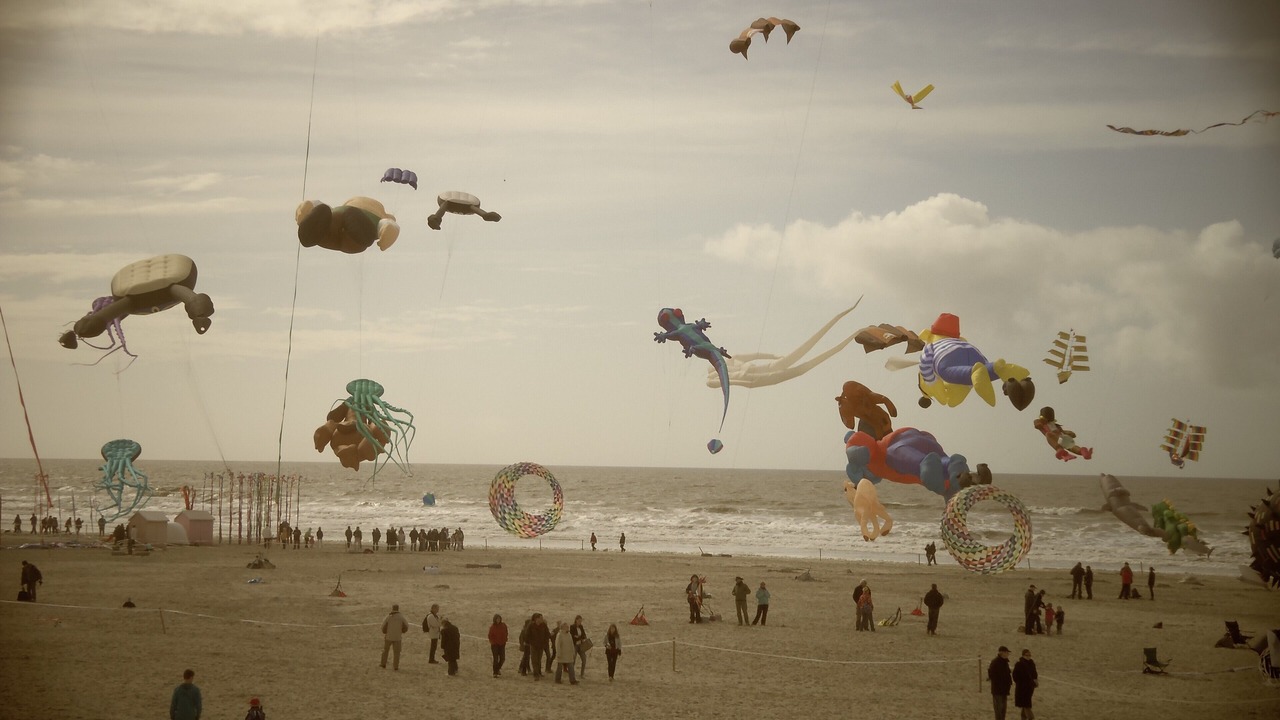 Photo of Others in Berck-sur-Mer