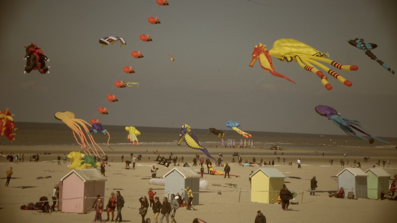 Photo of Others in Berck-sur-Mer