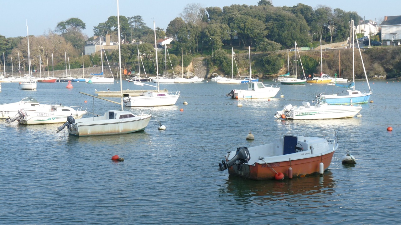 Photo of Others in La Plaine-sur-Mer
